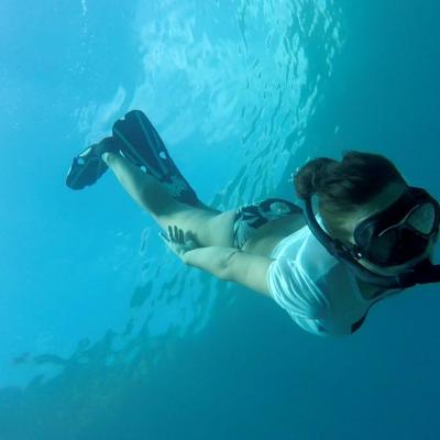 Freedive
